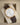 Rolex 1908 52508 | Marc Samuels
