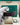 Rolex 1908 52508 Marc Samuels Jewelers