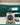 Rolex Datejust 41 126300 Wimbledon Marc Samuels Jewelers