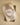 Sundust Rolex Datejust 41 126301 | Marc Samuels Jewelers in Dallas, Texas