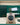 Rolex Datejust 41 126331 Wimbledon Marc Samuels Jewelers