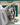 Rolex Datejust 41 126333 | Marc Samuels