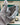 Rolex Datejust 41 126334 Rhodium Marc Samuels Jewelers