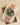 Olive Green Rolex Day-Date 228235 | Marc Samuels Jewelers DFW, Texas