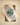 Rolex Day-Date 228239 | Marc Samuels