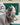 Rolex Lady-Datejust 26 179173 Marc Samuels Jewelers