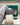 Rolex Oyster Perpetual 36 126000 | Marc Samuels