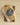Rolex Sky-Dweller 326938 | Marc Samuels