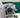 Rolex Submariner 126610LV Starbucks Marc Samuels Jewelers